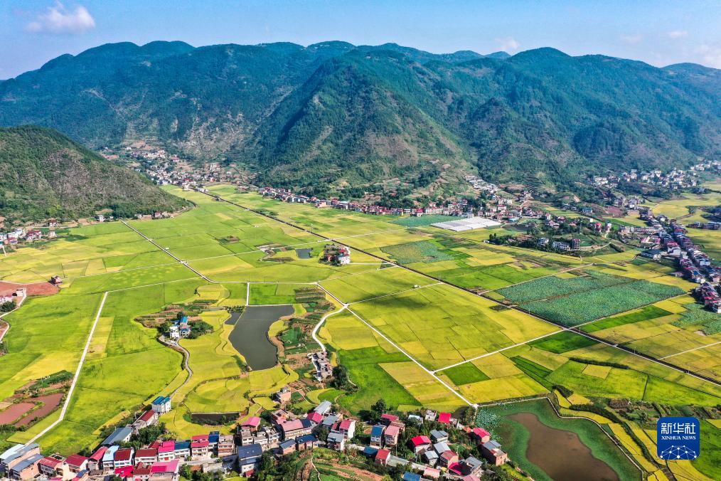 微乐斗地主电脑版下载八喜牌新连炸